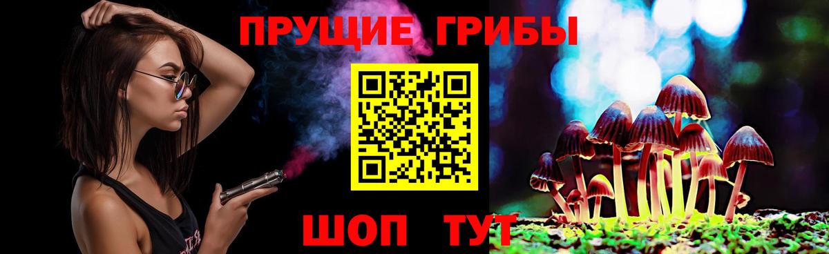 Галлюциногенные грибы Psilocybine cubensis  Вход с VPN  Нефтекумск 